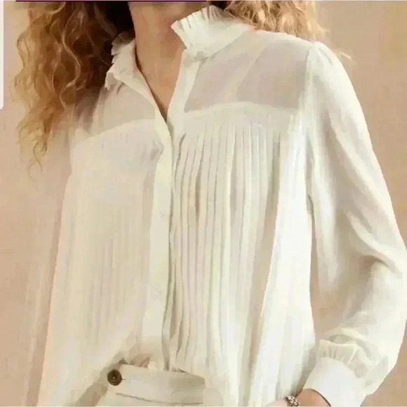 Banana Republic Chiffon Pleated Blouse - Picture 11 of 13